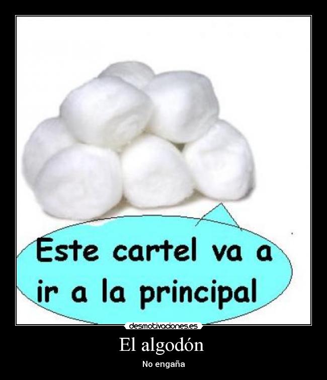 El algodón -