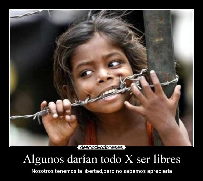 Algunos darían todo X ser libres - Nosotros tenemos la libertad,pero no sabemos apreciarla