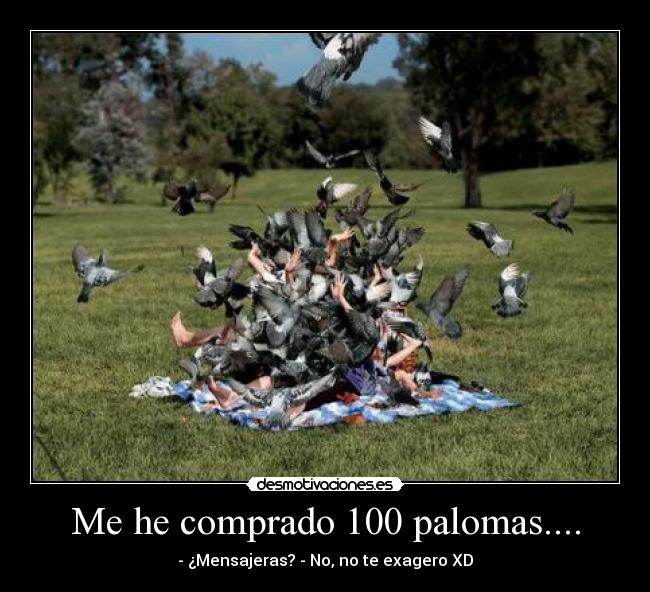 Me he comprado 100 palomas.... - - ¿Mensajeras? - No, no te exagero XD