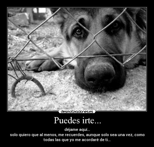 Puedes irte... - déjame aquí...
solo quiero que al menos, me recuerdes, aunque solo sea una vez, como
todas las que yo me acordaré de ti...