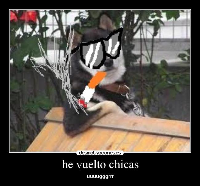 he vuelto chicas - uuuugggrrr