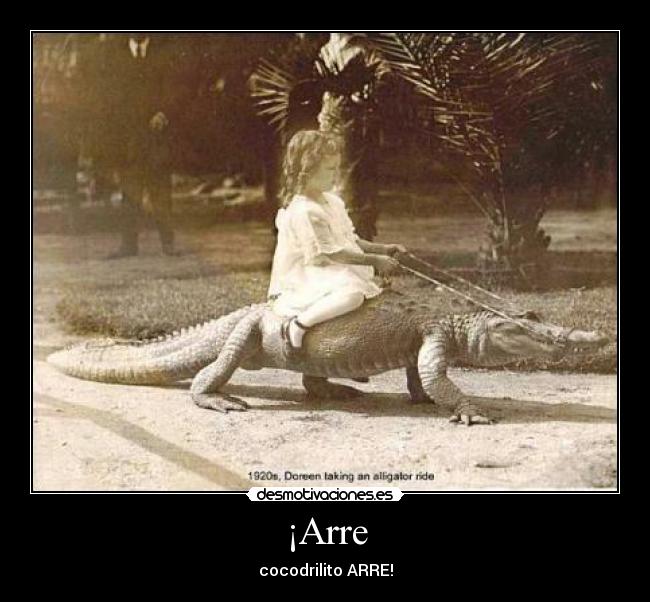 ¡Arre - cocodrilito ARRE!