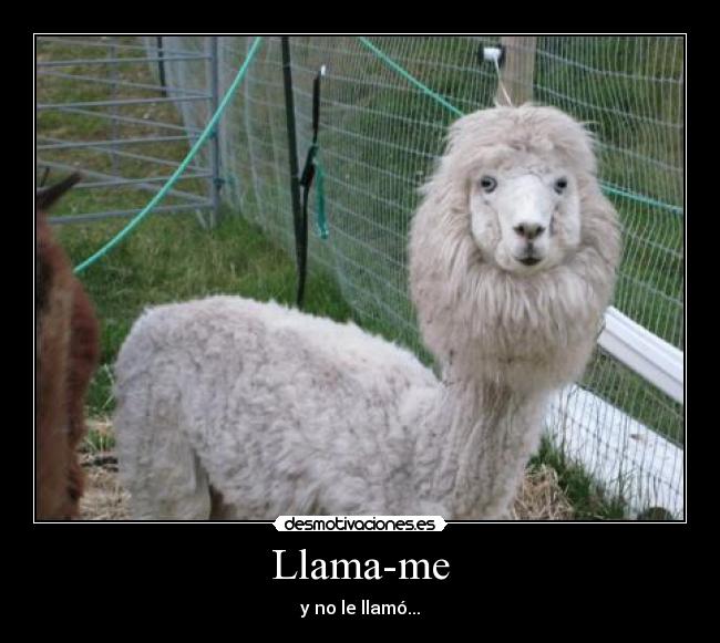 Llama-me - 