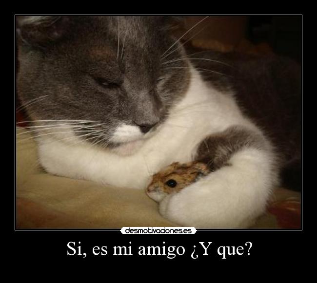 Si, es mi amigo ¿Y que? - 