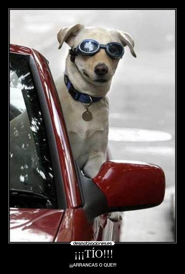 ¡¡¡TÍO!!! - 