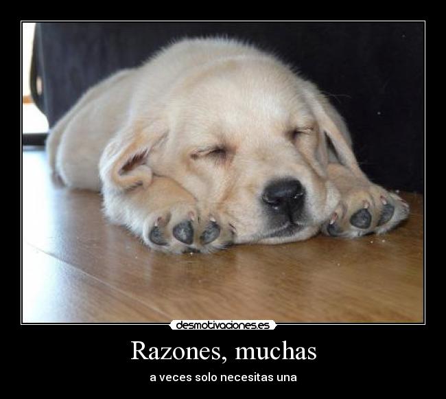 Razones, muchas -