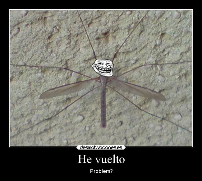 He vuelto - Problem?