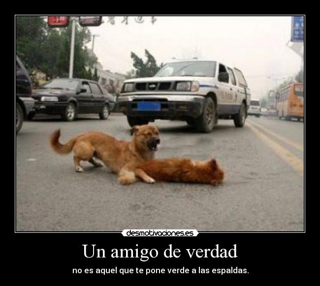 Un amigo de verdad - no es aquel que te pone verde a las espaldas.