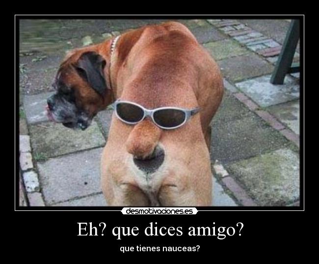 Eh? que dices amigo? - que tienes nauceas?