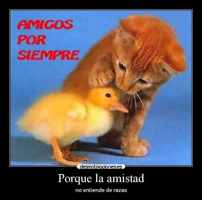 Porque la amistad -