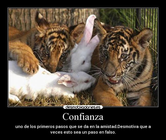 Confianza - uno de los primeros pasos que se da en la amistad.Desmotiva que a
veces esto sea un paso en falso.