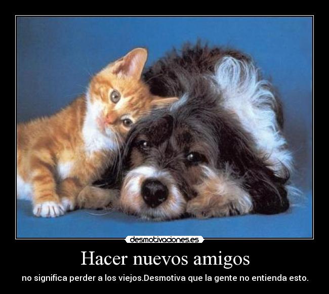 Hacer nuevos amigos -