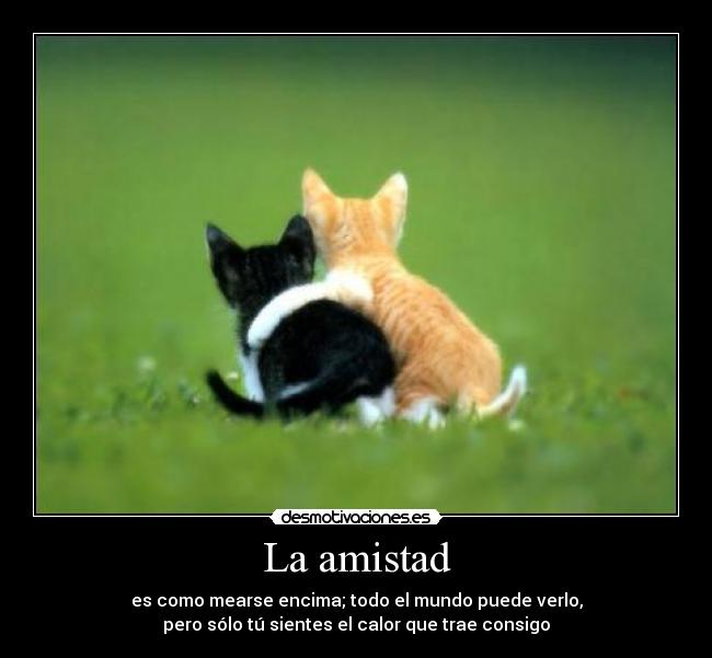 La amistad -