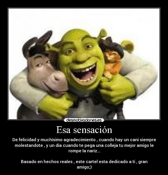 Esa sensación - De felicidad y muchísimo agradecimiento , cuando hay un cani siempre
molestandote , y un dia cuando te pega una colleja tu mejor amigo le
rompe la nariz...

Basado en hechos reales , este cartel esta dedicado a ti , gran
amigo;)