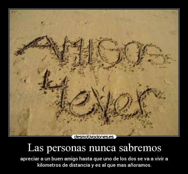 Las personas nunca sabremos - apreciar a un buen amigo hasta que uno de los dos se va a vivir a
kilometros de distancia y es al que mas añoramos.