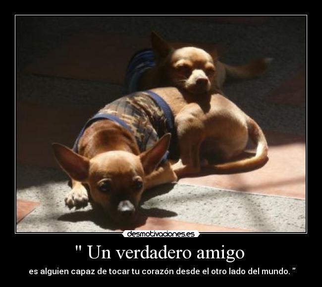 Un verdadero amigo -