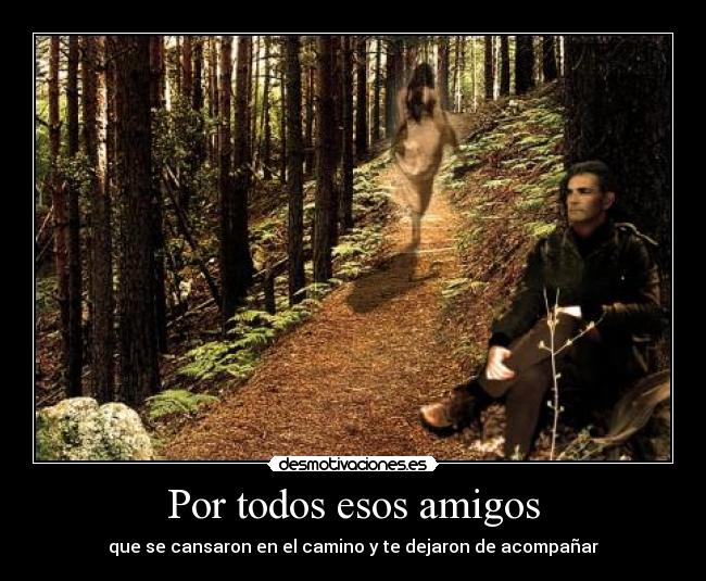 Por todos esos amigos -