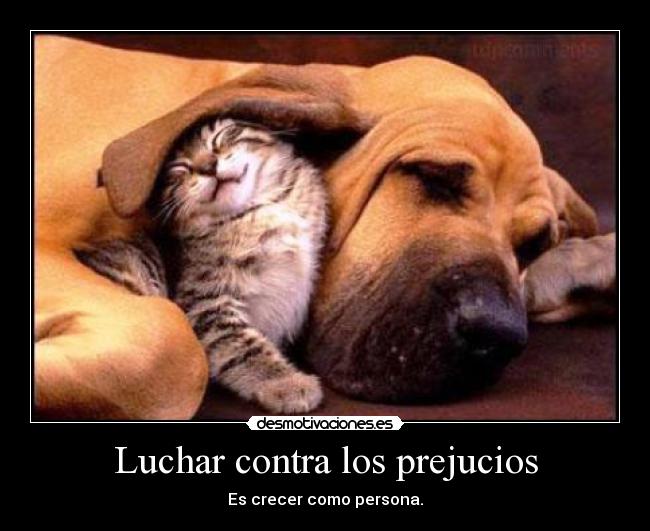 Luchar contra los prejucios - 