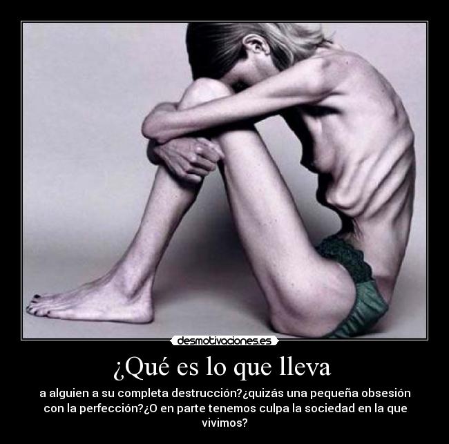 ¿Qué es lo que lleva  - a alguien a su completa destrucción?¿quizás una pequeña obsesión
con la perfección?¿O en parte tenemos culpa la sociedad en la que
vivimos?