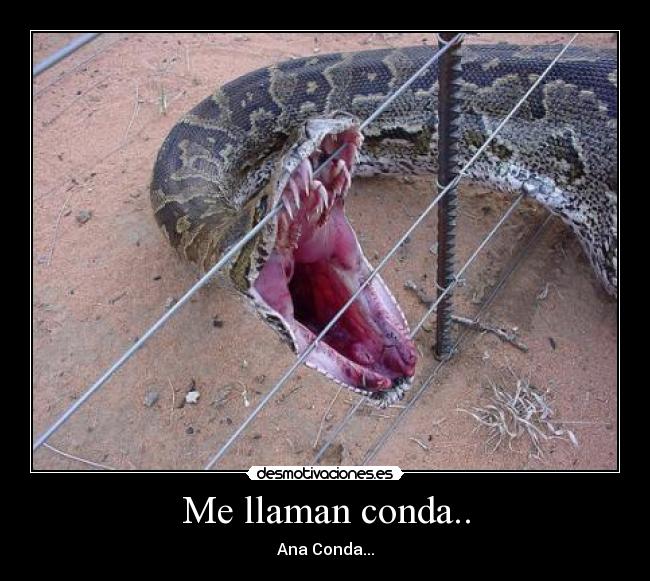 Me llaman conda.. -
