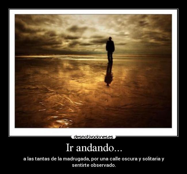 Ir andando... - a las tantas de la madrugada, por una calle oscura y solitaria y sentirte observado.