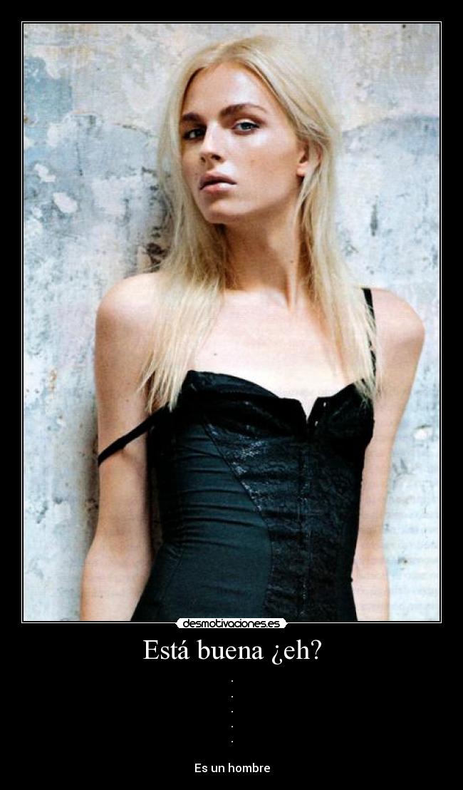 carteles andrej pejic tio tia buena desmotivaciones