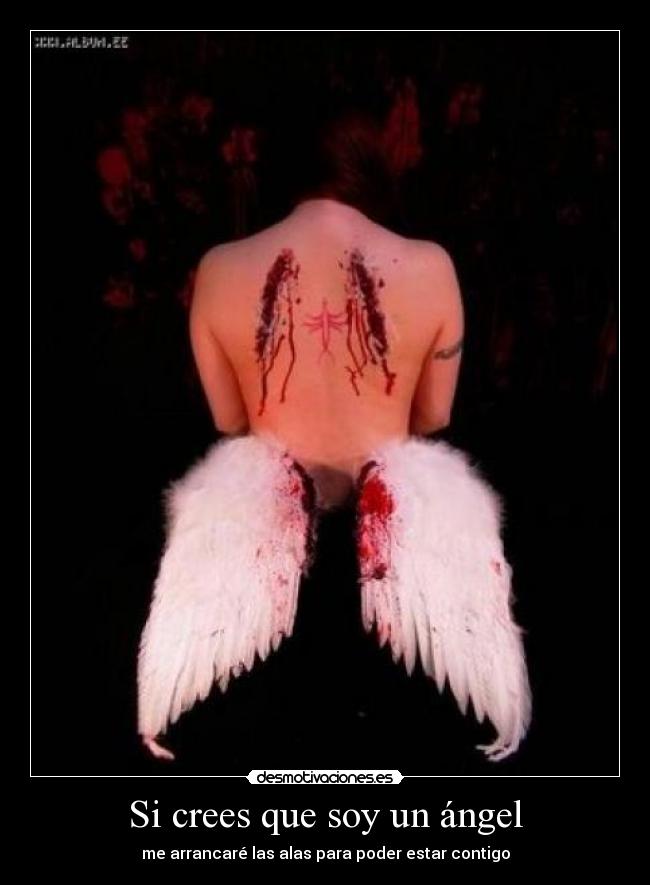 carteles angel alas rotas desmotivaciones
