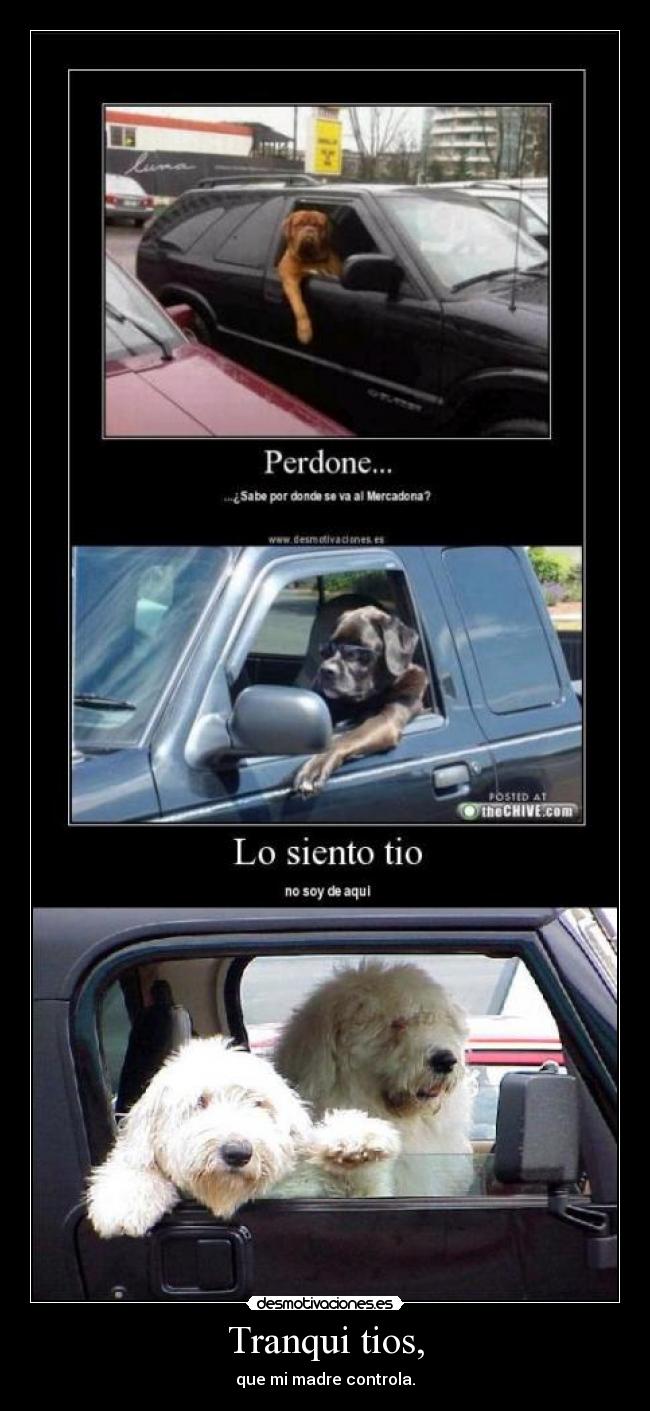carteles tranqui tios mercadona perros desmotivaciones
