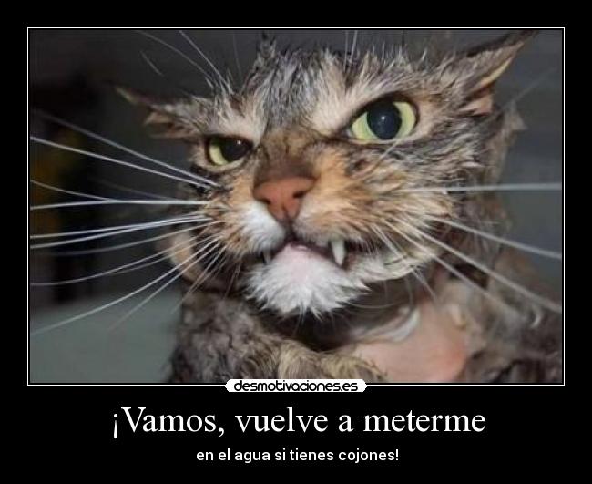 ¡Vamos, vuelve a meterme - en el agua si tienes cojones!