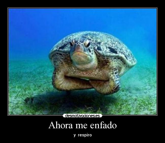 Ahora me enfado - y respiro