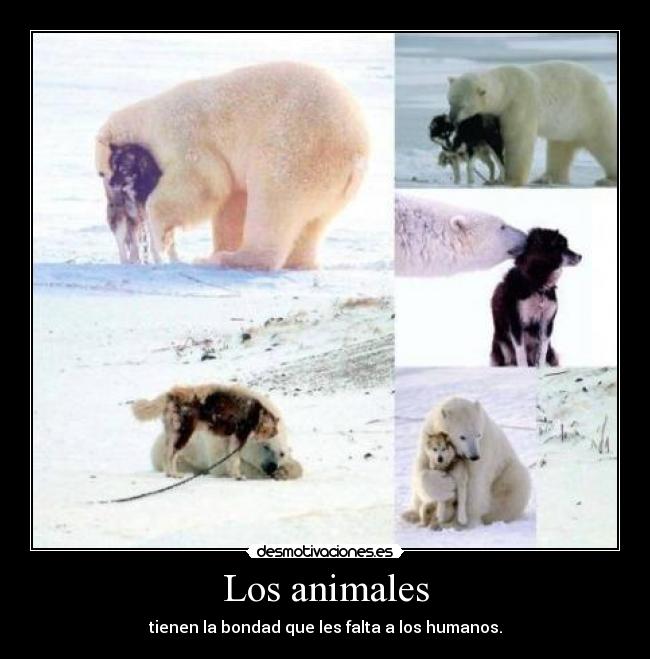 Los animales -