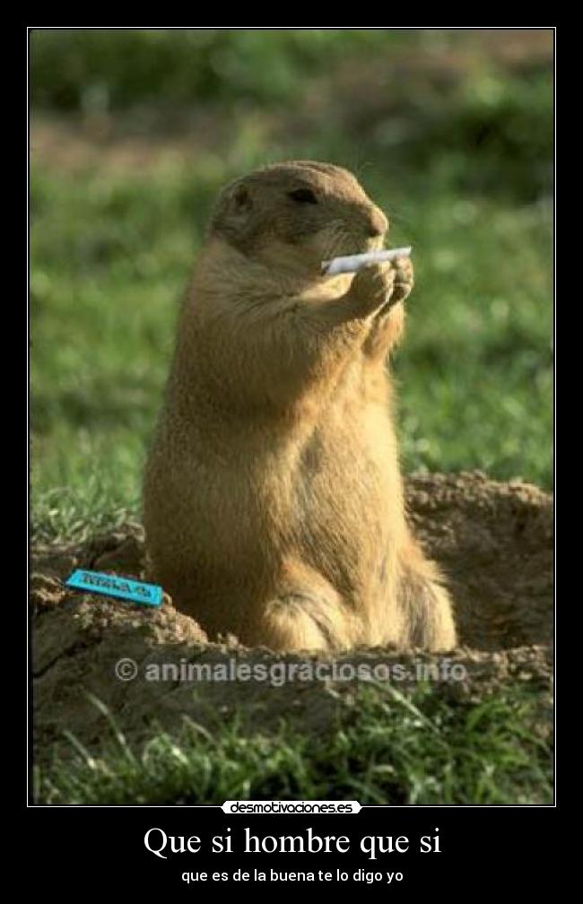 Que si hombre que si -