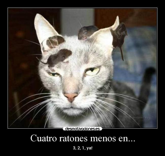 Cuatro ratones menos en... - 3, 2, 1, ya!