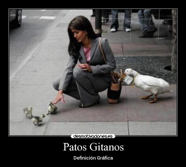 Patos Gitanos - Definición Gráfica