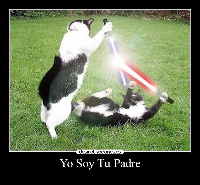 Yo Soy Tu Padre -