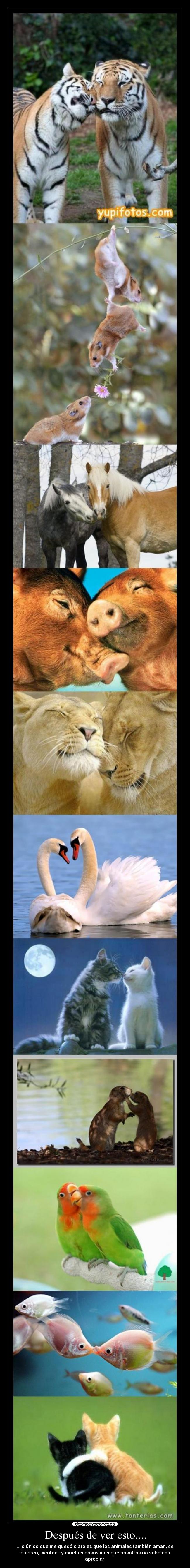 Después de ver esto.... -