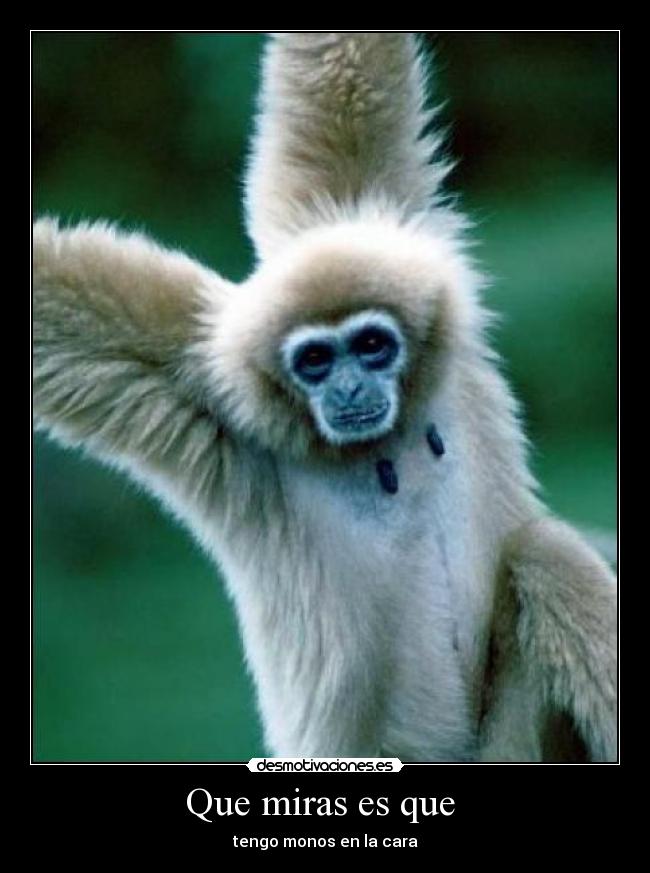Que miras es que  - tengo monos en la cara