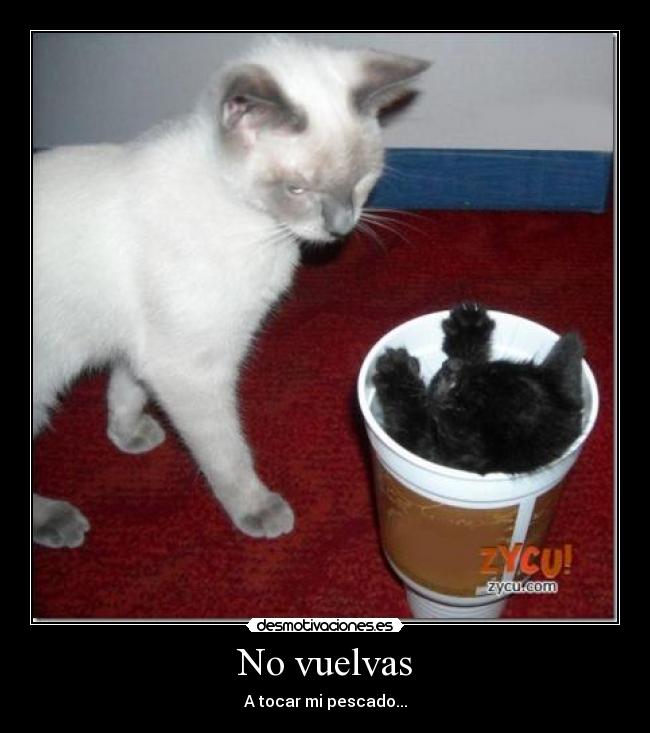 No vuelvas - 