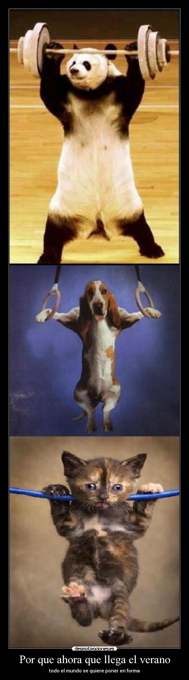 Por que ahora que llega el verano - todo el mundo se quiere poner en forma