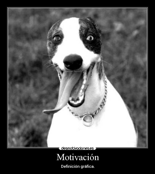 Motivación - 