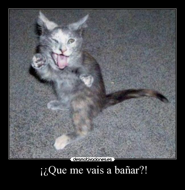 ¡¿Que me vais a bañar?! - 