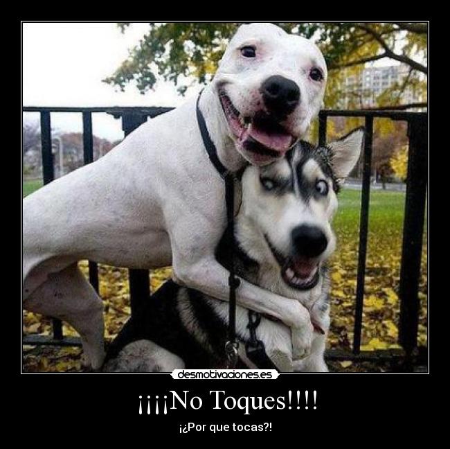 ¡¡¡¡No Toques!!!! - 