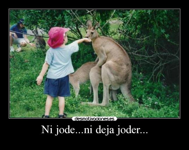 Ni jode...ni deja joder... -