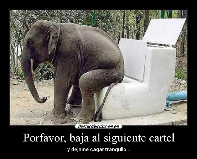 Porfavor, baja al siguiente cartel - 