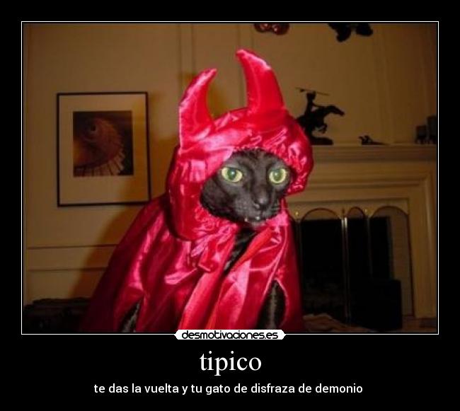 tipico -