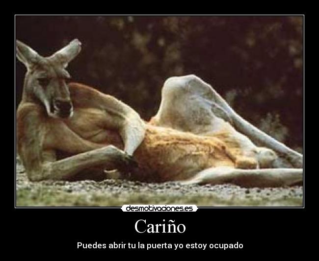 carteles animales desmotivaciones