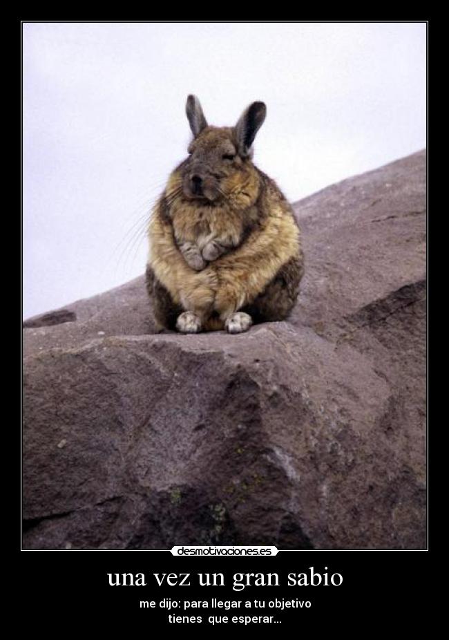 una vez un gran sabio -