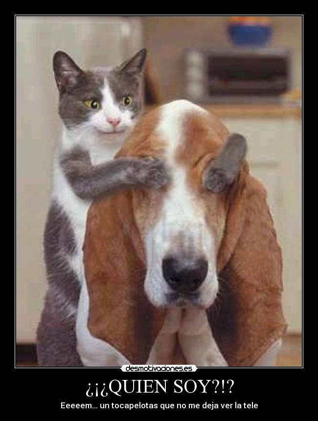 ¿¡¿QUIEN SOY?!? -