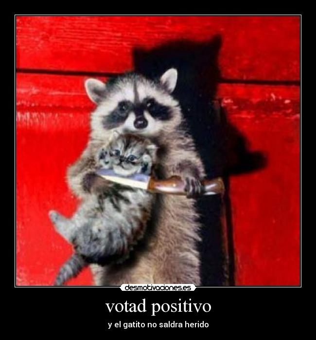 votad positivo -
