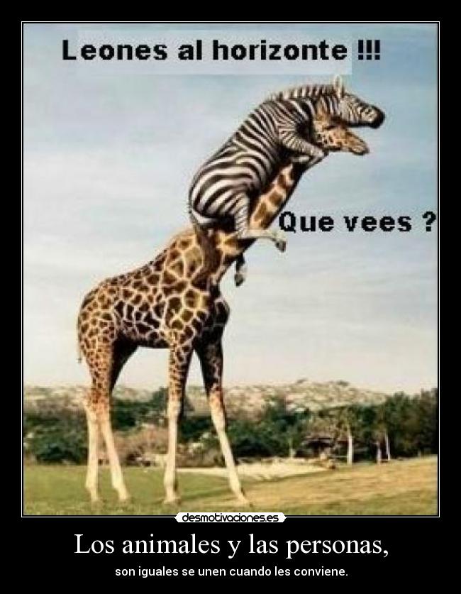 Los animales y las personas, -
